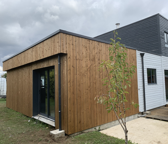 extension31